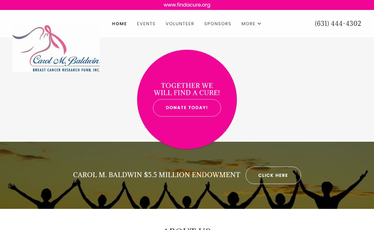 Carol M. Baldwin Breast Cancer Research Fund, inc. - Home