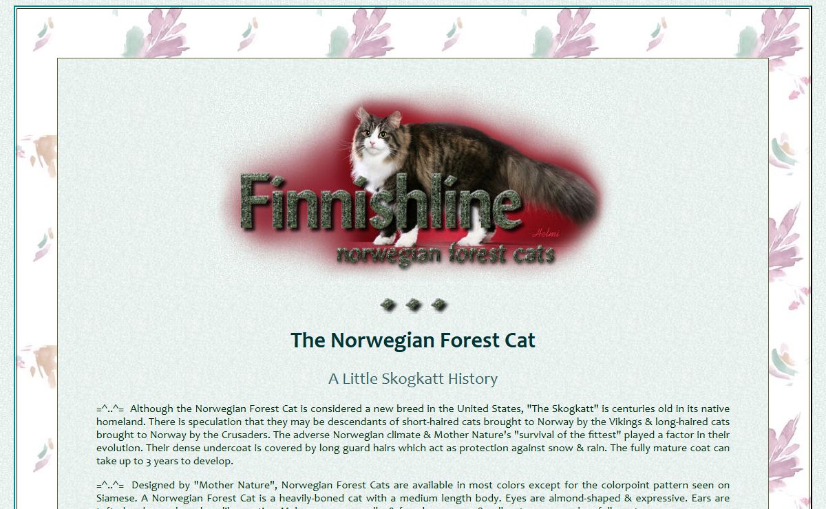 Norwegian Forest Cats and Kittens from Finnishline NY