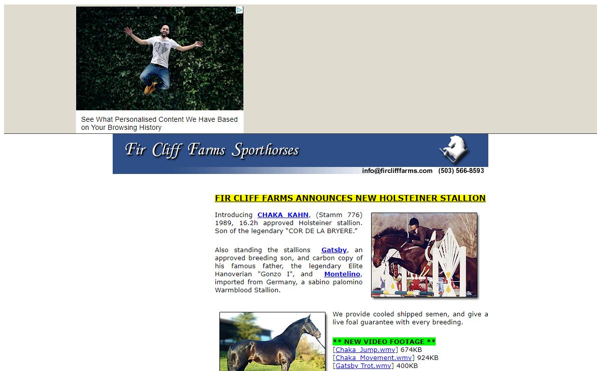 Sport Horses and Warmblood Stallion Breeder