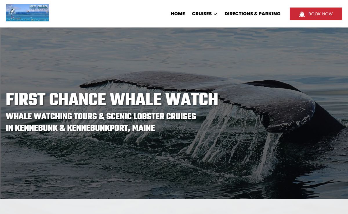 First Chance Whale Watch | Kennebunkport Whale Watching in Maine