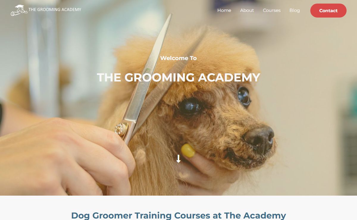 The Grooming Academy Ltd – Dog Groomer Training Courses