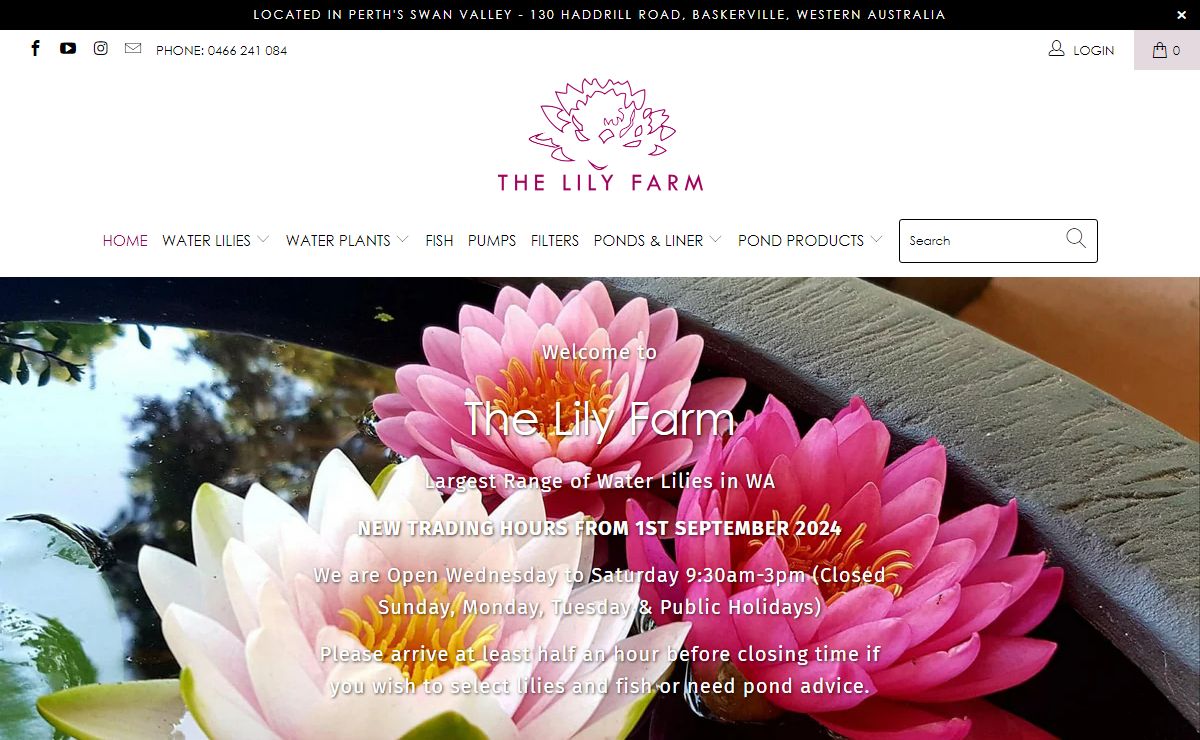 Everything Ponds, Water Lilies, Fish and Pond Supplies