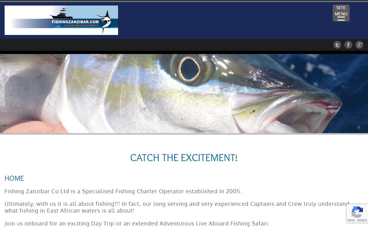 Fishing Zanzibar Co Ltd - Big Game Fishing Charters in Zanzibar.