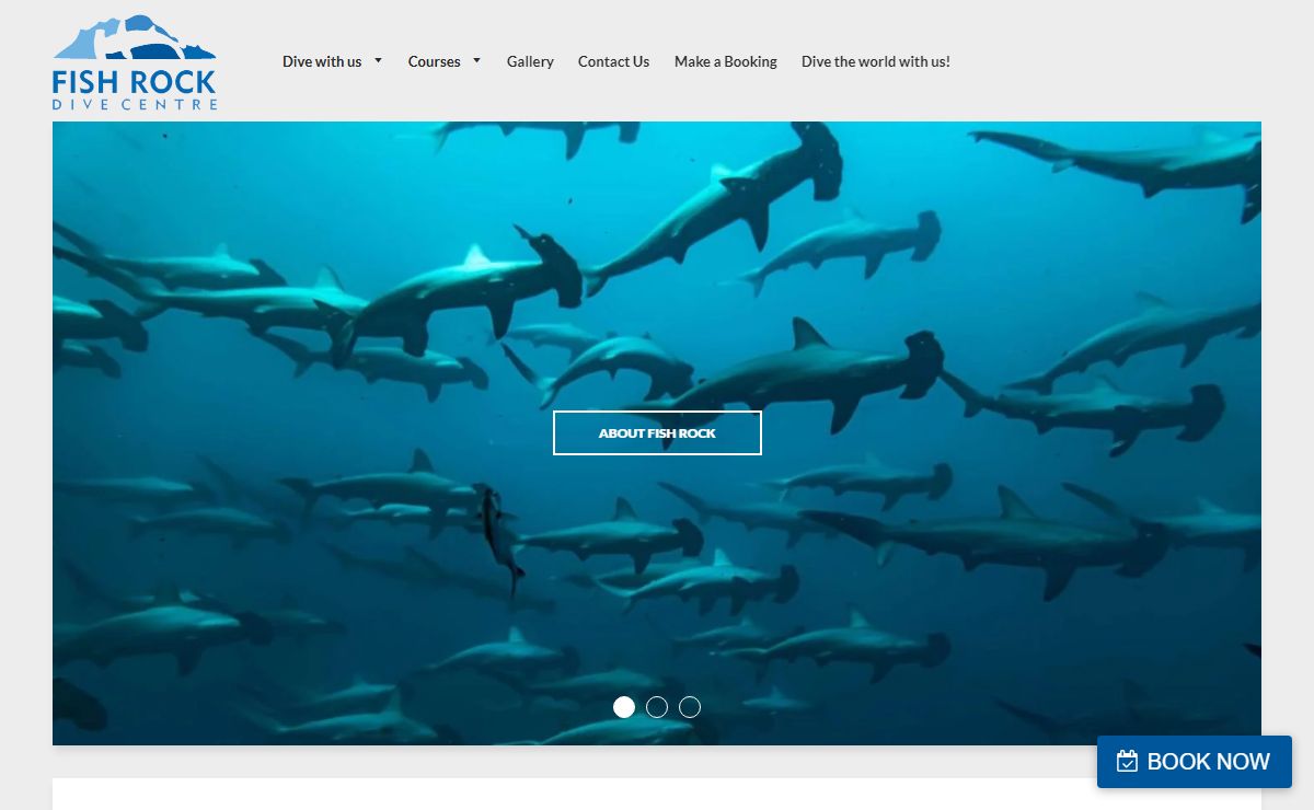 Dive Fish Rock Cave – fishrockdive