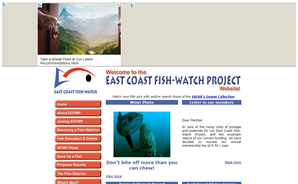 Welcome to the East Coast Fish-Watch Project