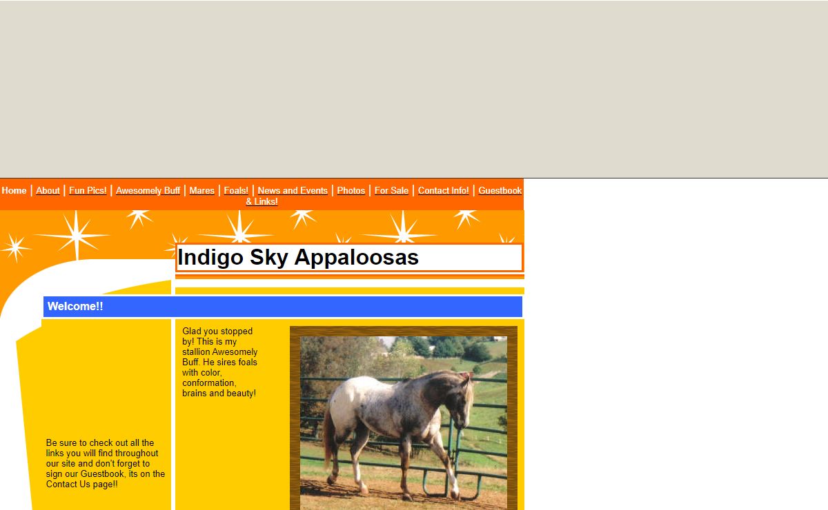 Indigo Sky Appaloosas