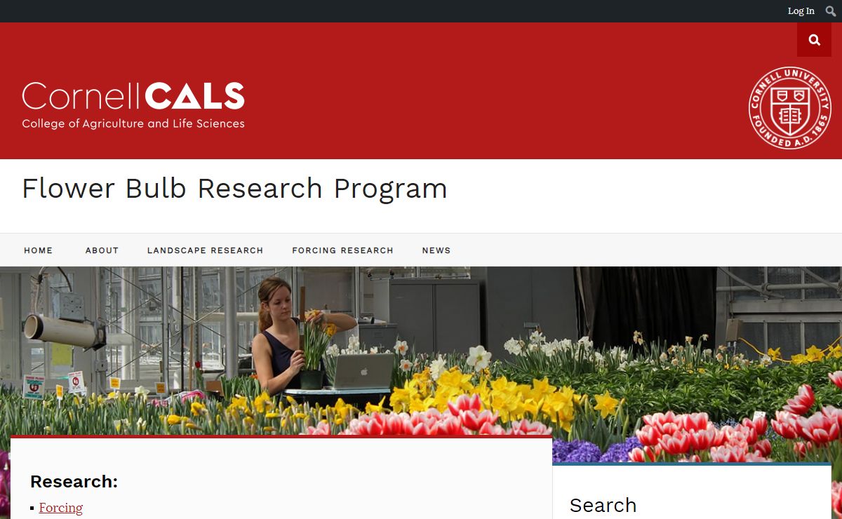 Flower Bulb Research Program