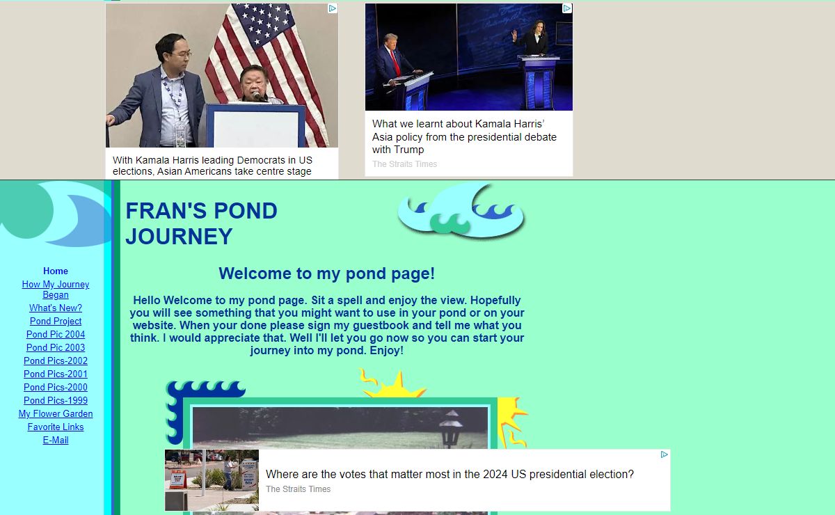 FRAN'S POND JOURNEY