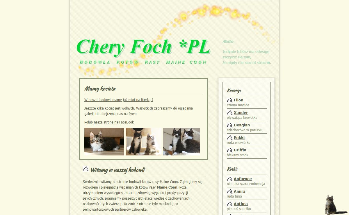 Hodowla Chery Foch * PL. Koty rasy Maine Coon