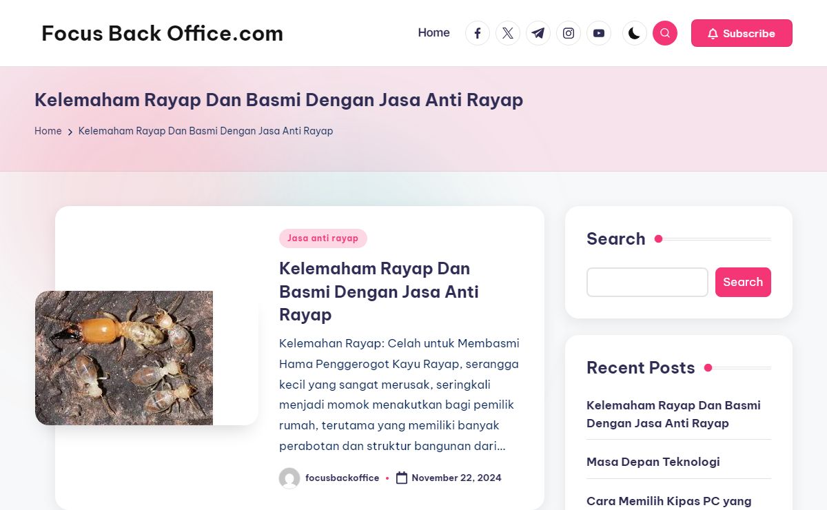 Kelemaham Rayap Dan Basmi Dengan Jasa Anti Rayap - Focus Back Office.com