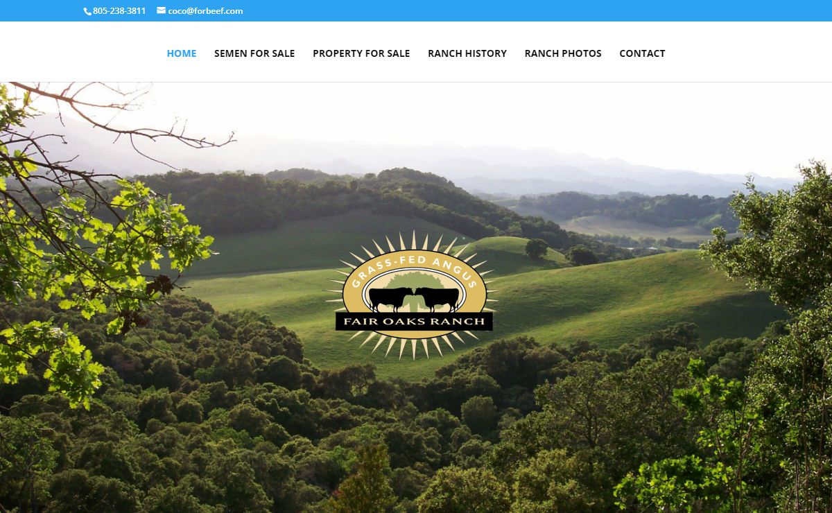 Fair Oaks Cattle |