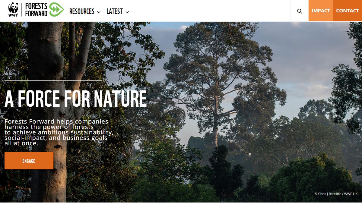 Home | WWF