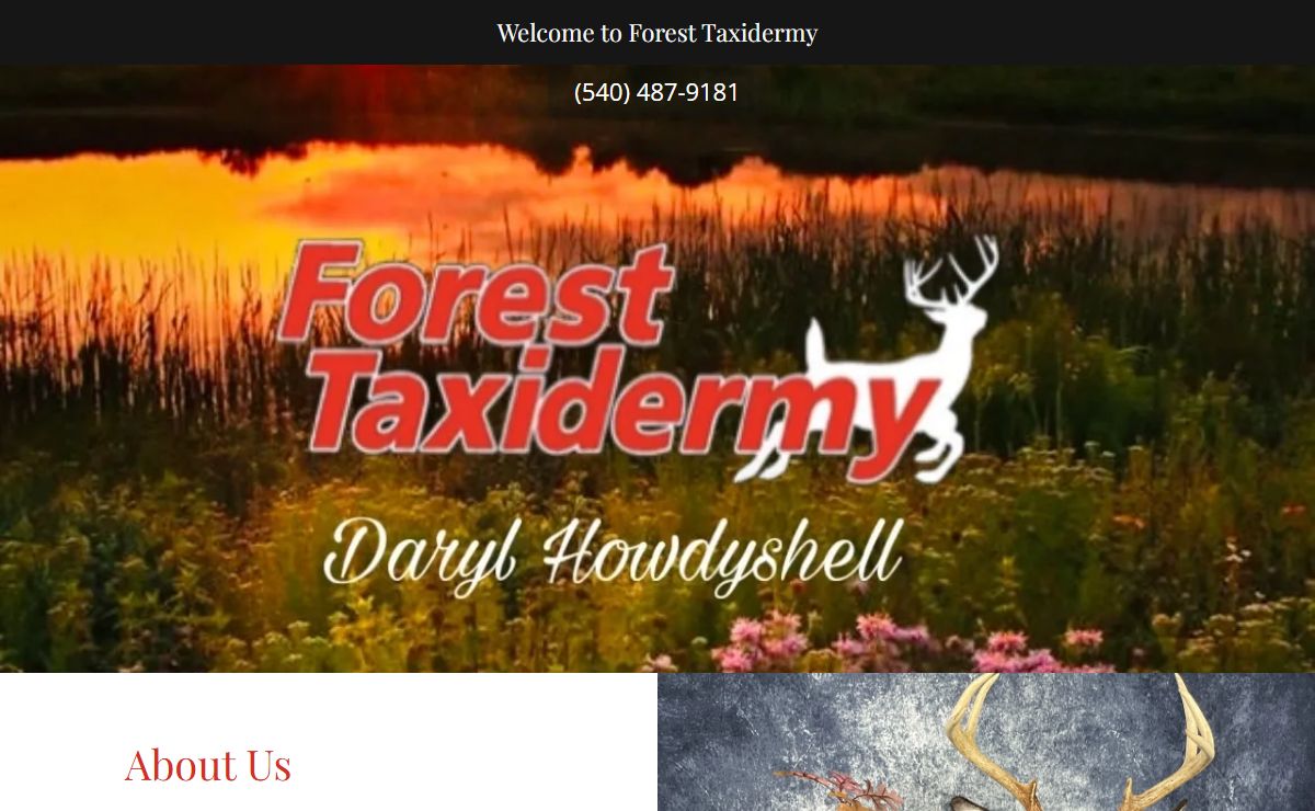 Forest Taxidermy - Taxidermy, Shenandoah Valley/ Central Virginia