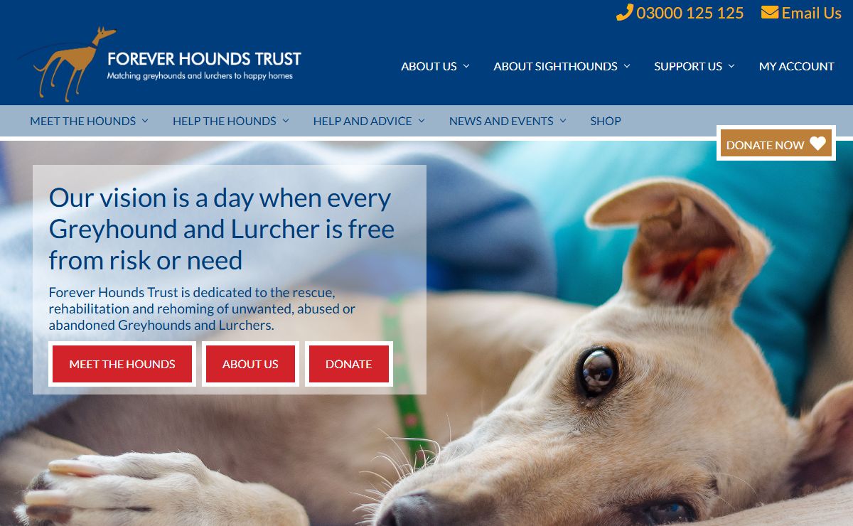 Forever Hounds Trust - Forever Hounds Trust