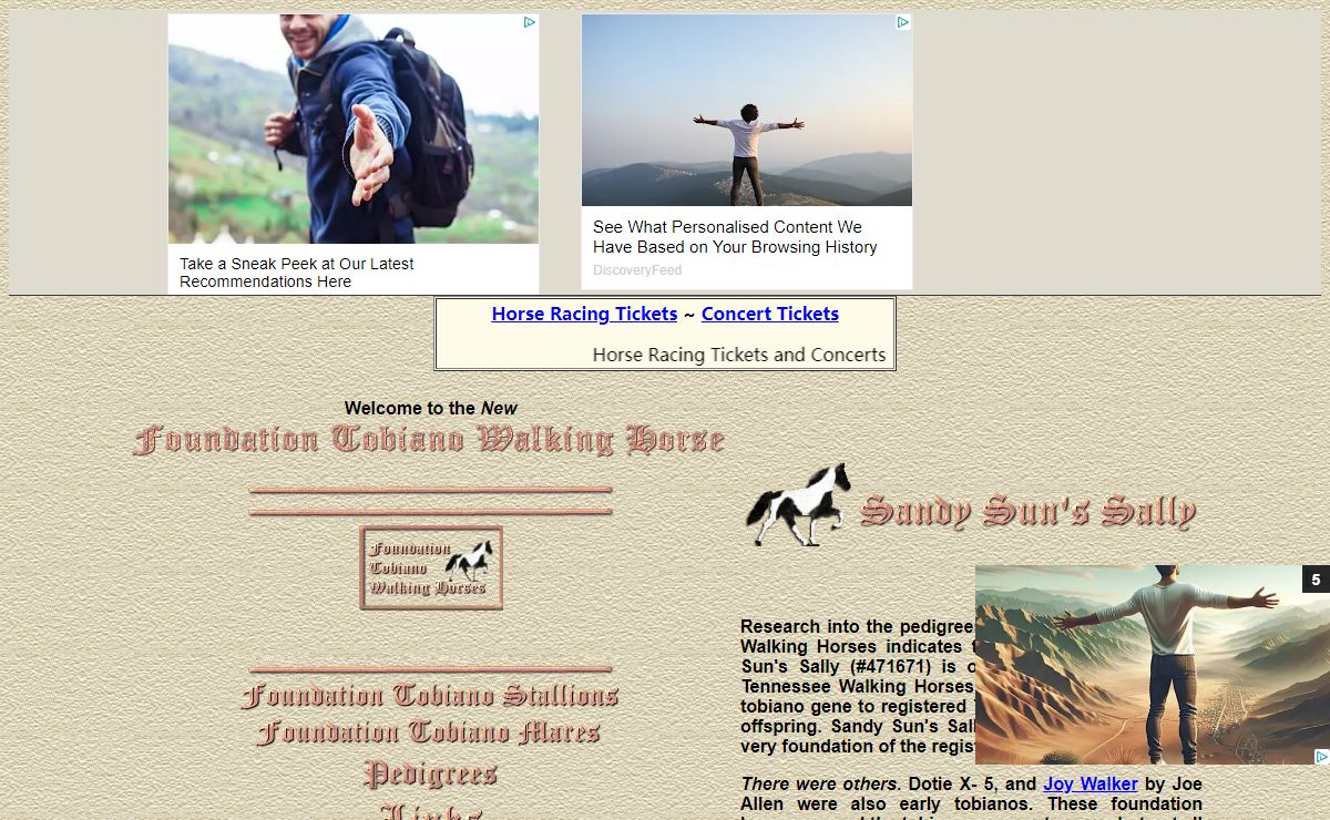 History of Breeders of Foundation Tobiano Walking Horses
