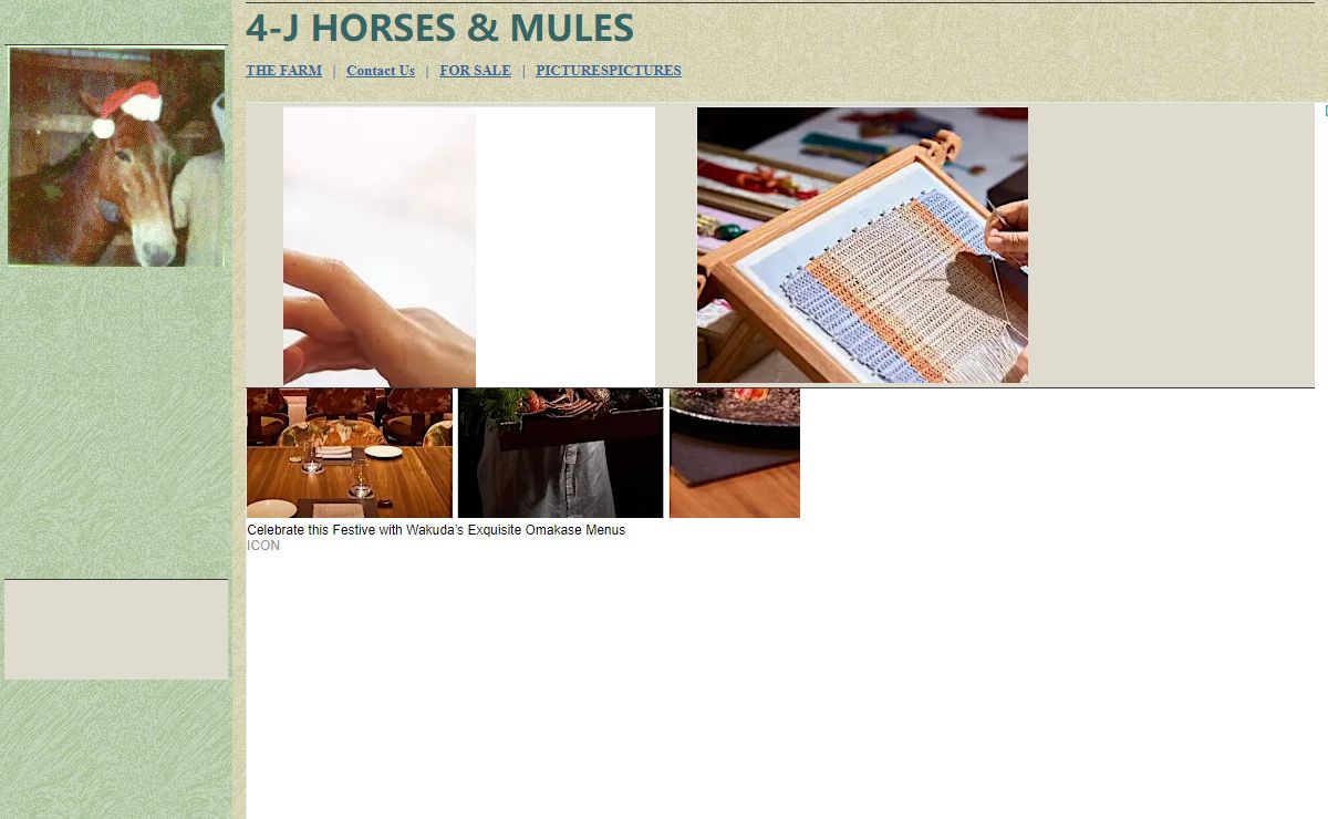 4J HORSES MULES