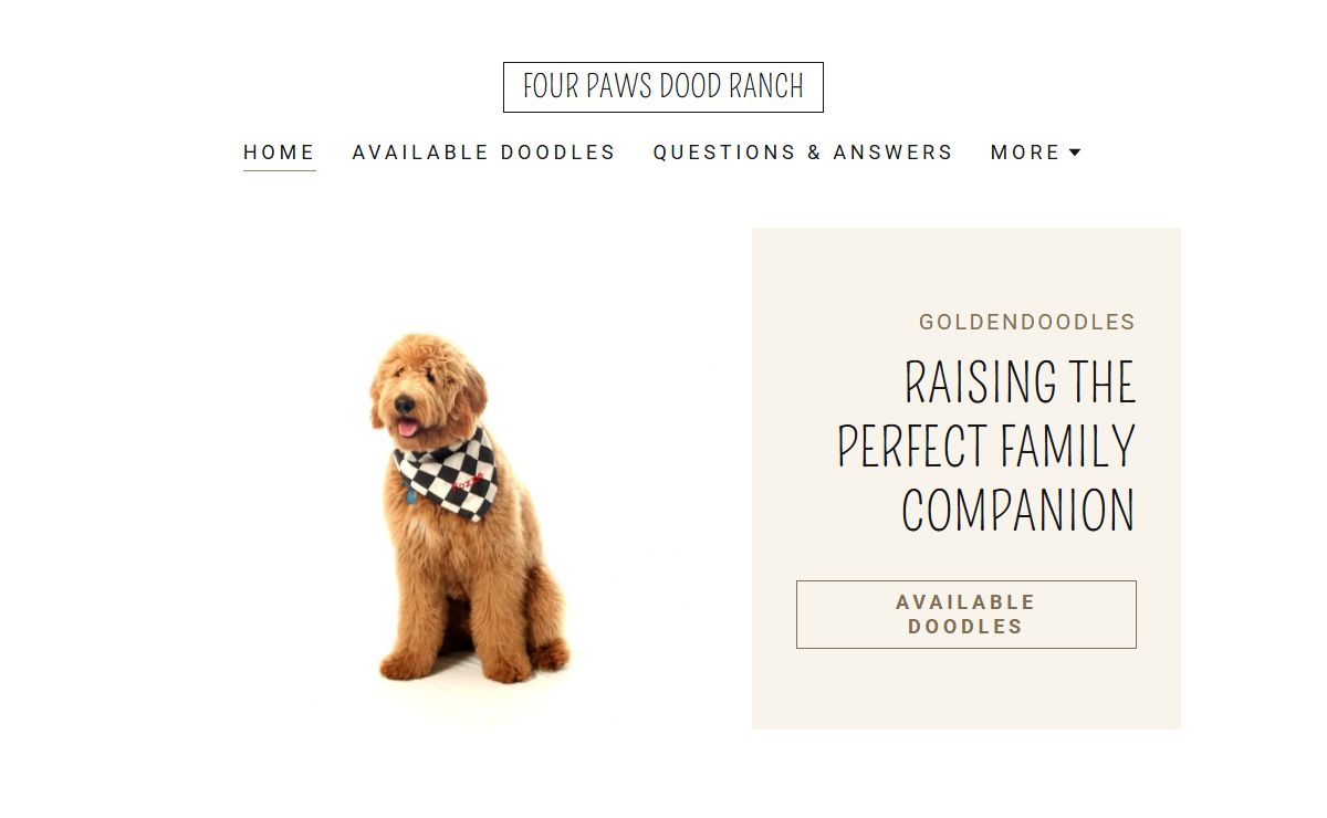 Four Paws Dood Ranch 2 - Goldendoodles, Puppies