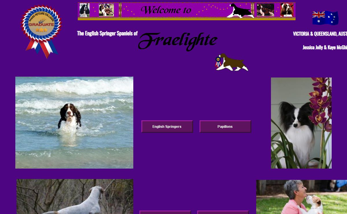 Fraelighte English Springer Spaniels