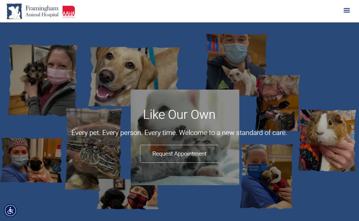 Veterinarian in Framingham | Vet Near You | Framingham Animal Hospital
