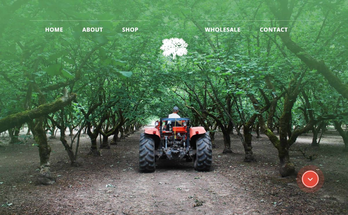 Freddy Guys | Farm Direct Hazelnuts