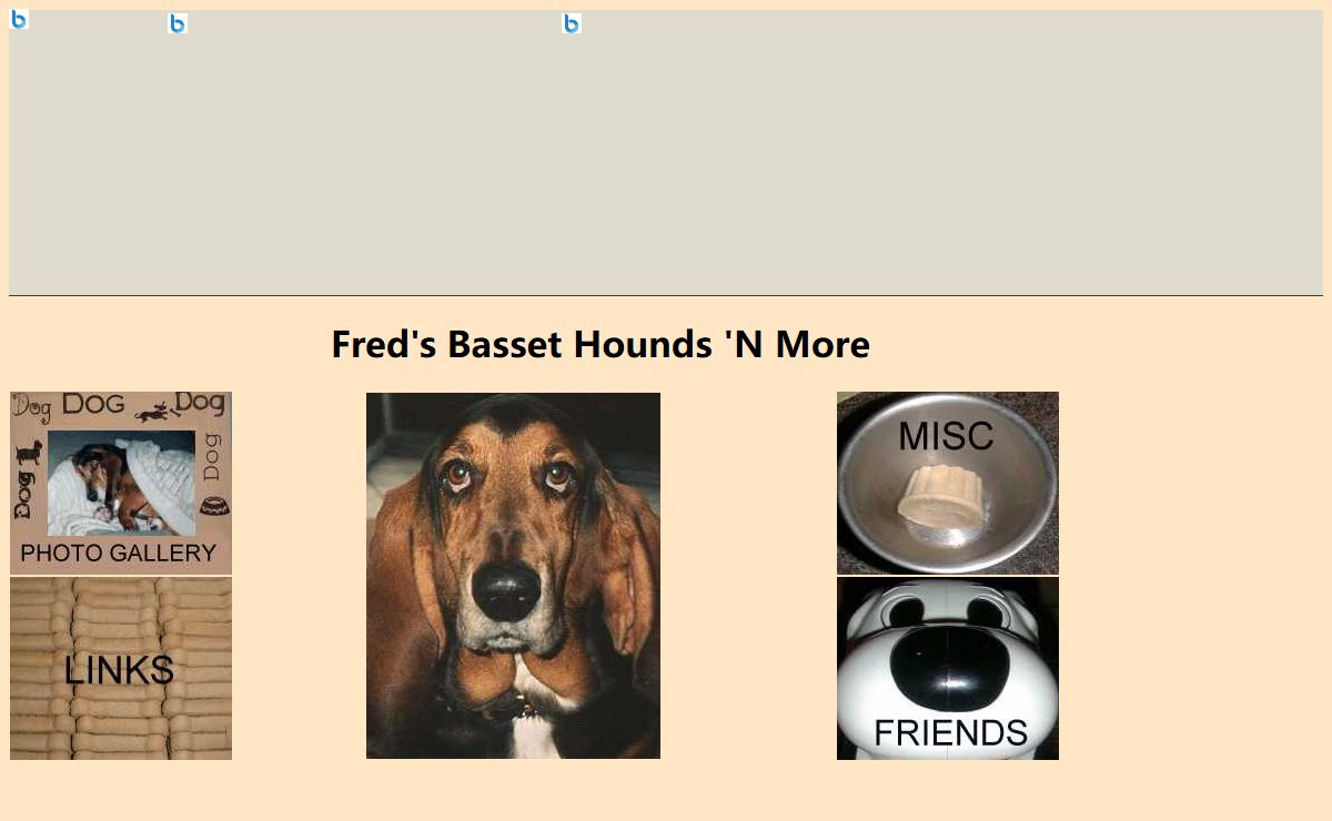 Fred's Basset Hounds 'N More