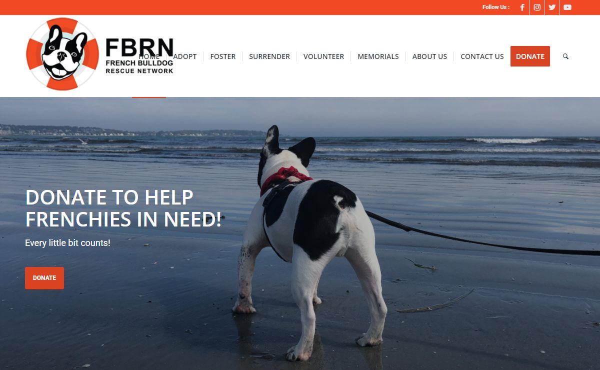 FBRN – French Bulldog Rescue Network