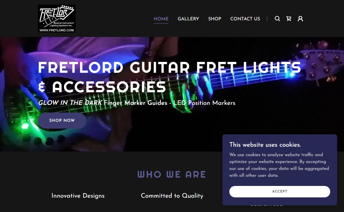FRETLORD Guitar LED Lighting - Home