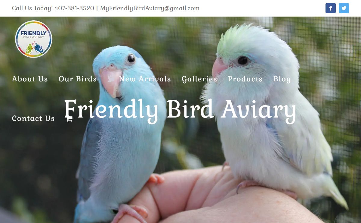 Home - Friendly Bird Aviary | Parrotlets For Sale in Orlando, Florida