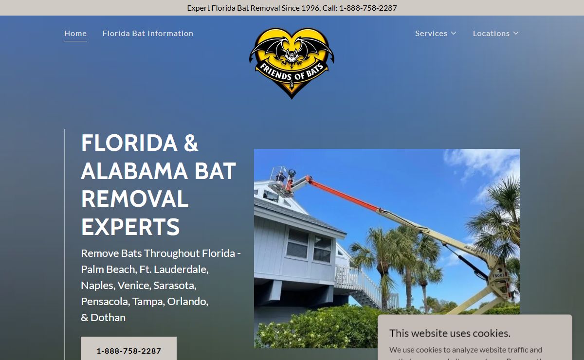 Friends of Bats - Florida Bat Removal