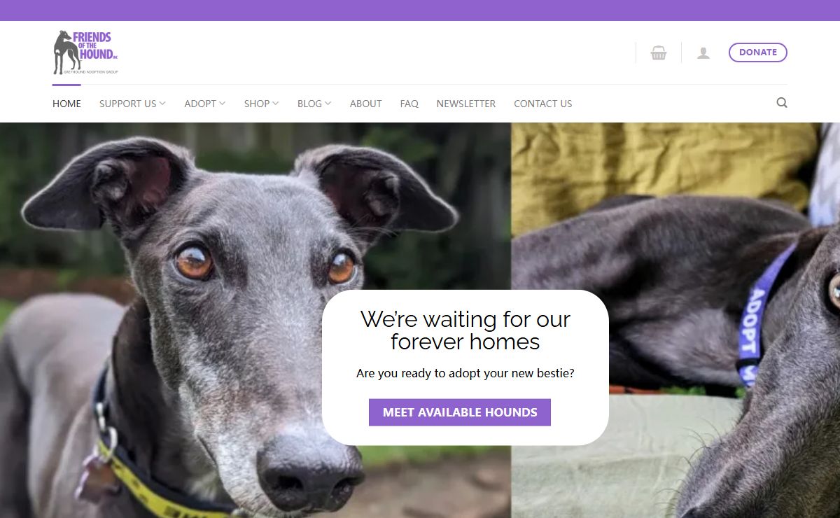 Friends of the Hound Inc. – Greyhound Adoption Group