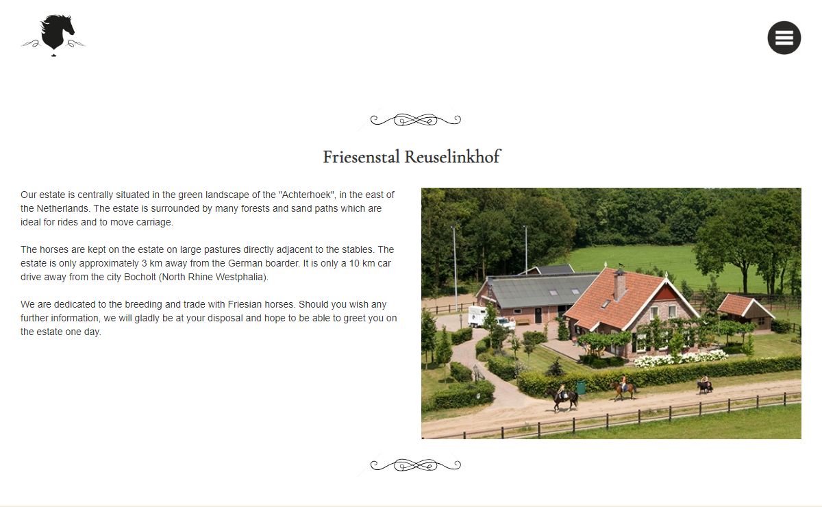 Friesian horses by Friesenstal Reuselinkhof (Holland) - Friesian horse breeders