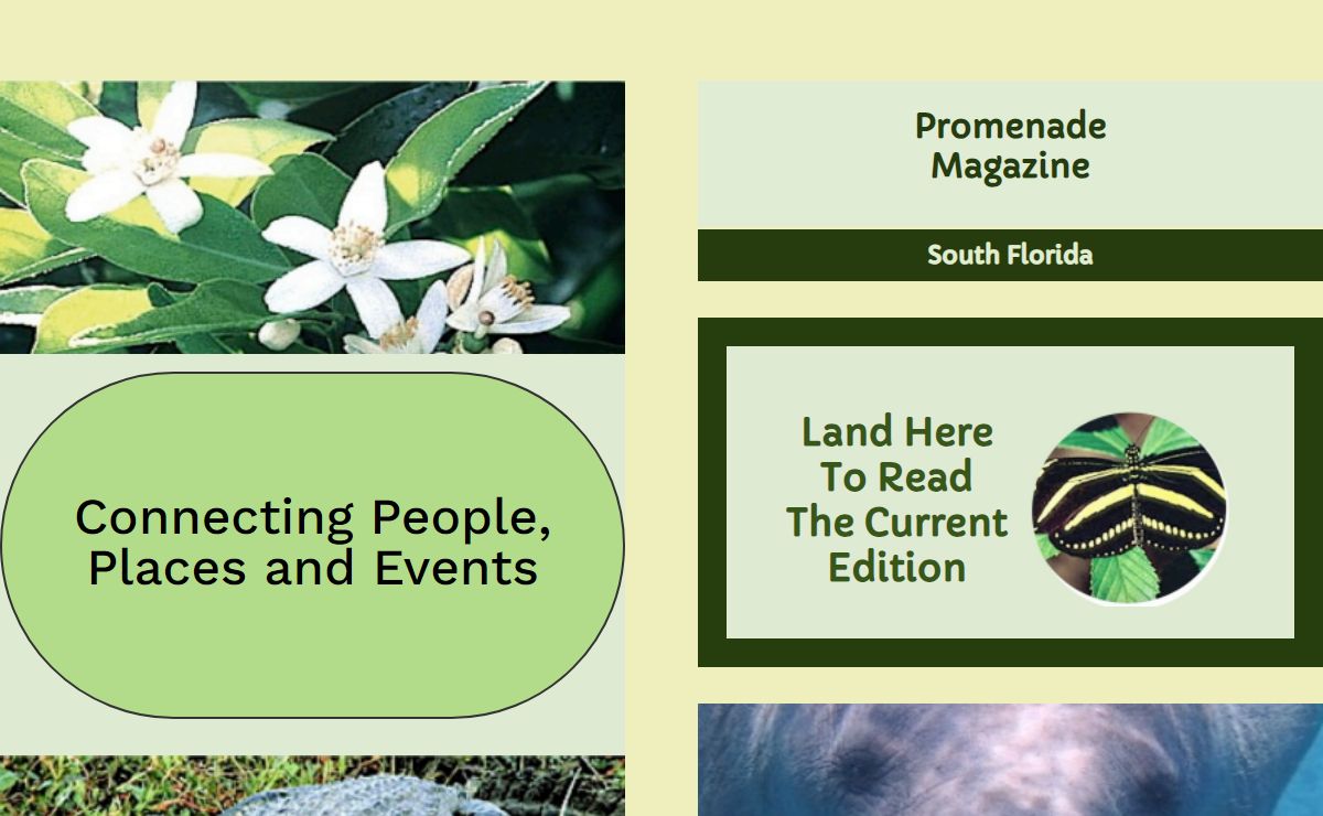 Fort Lauderdale News | Your Independent Community Magazine