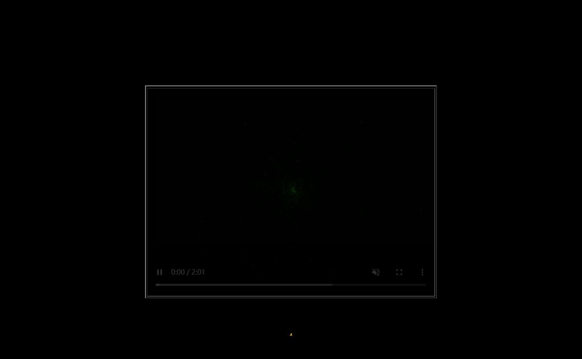 fUSION Anomaly. [history ends in green]