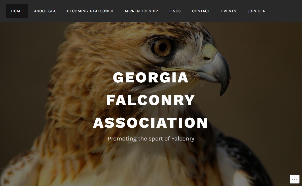 Georgia Falconry Association – Promoting the sport of Falconry