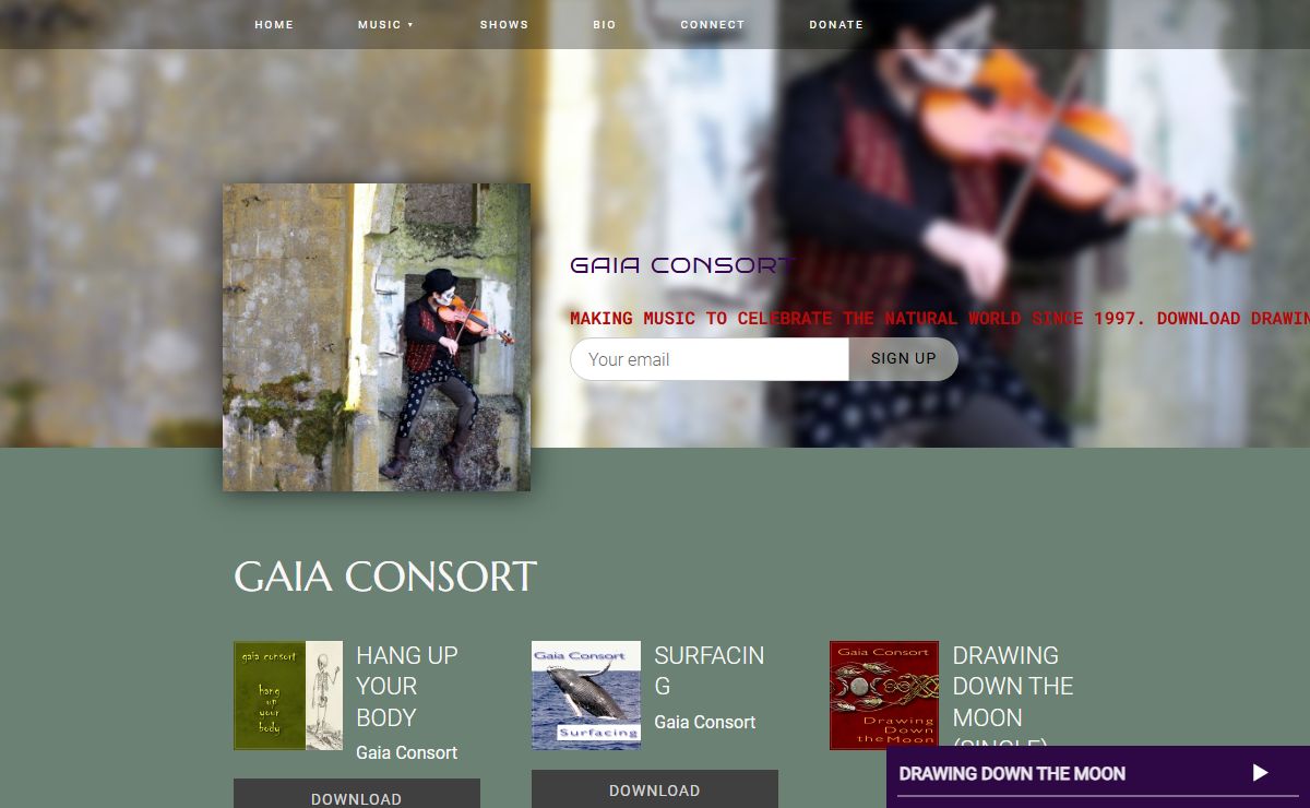 gaiaconsort.com