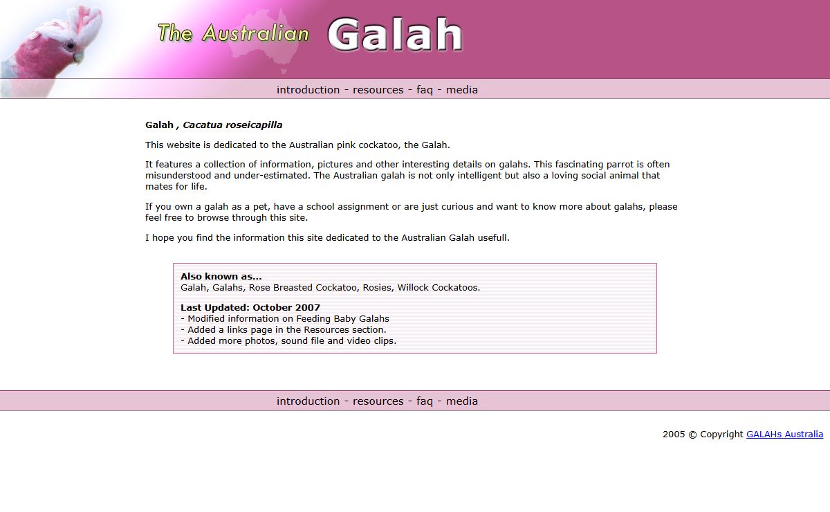 Galahs - The Australian Galah