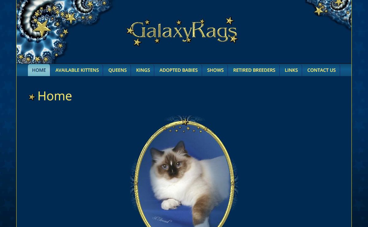 Ragdoll Kittens of GalaxyRags Cattery Ragdoll Cat Breeder OH