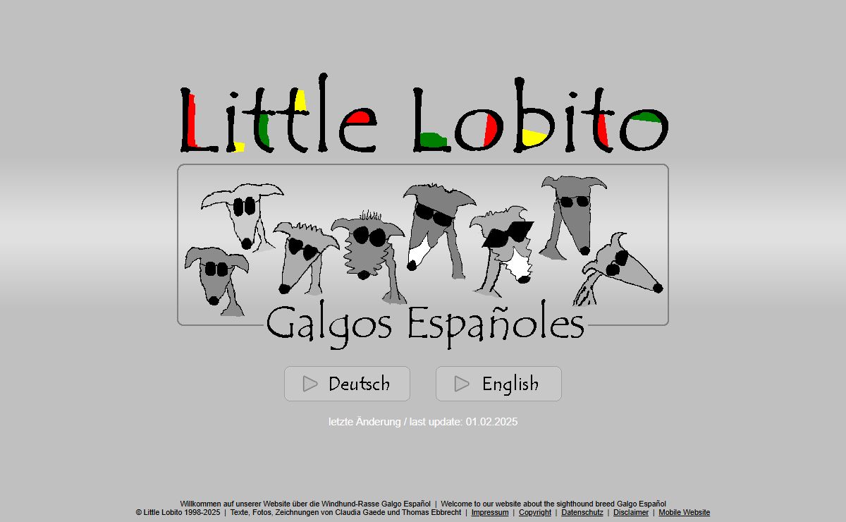 Galgo Español - Little Lobito