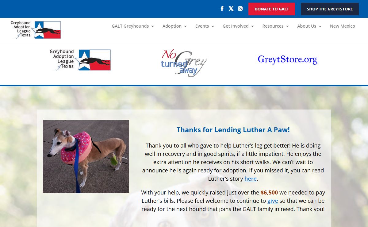 Greyhound Adoption League of Texas - Greyhound Adoption League of Texas