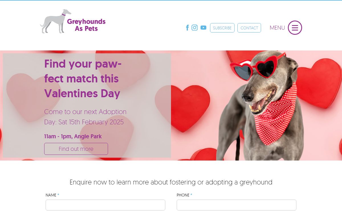Dog Adoption Adelaide, SA | Adopt A Greyhound | Greyhounds As Pets