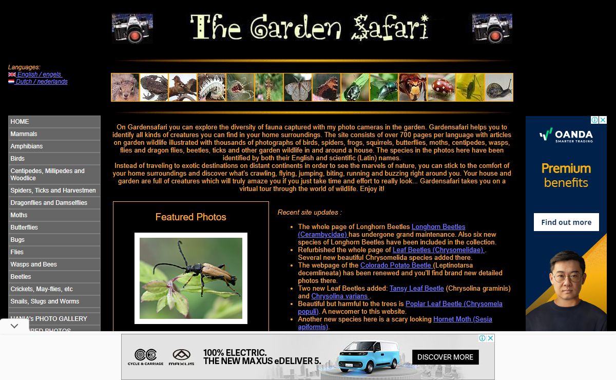 Gardensafari - Insects and Other Animals In House And Garden