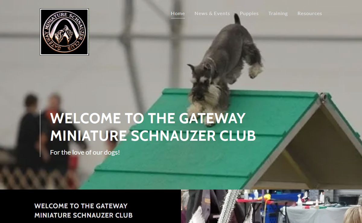 Gateway Miniature Schnauzer Club - Gateway Miniature Schnauzer Club