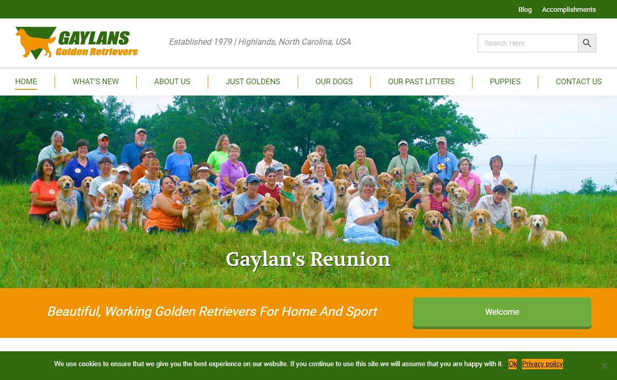 Gaylans US and Canada Best Golden Retrievers for Home & Sport
