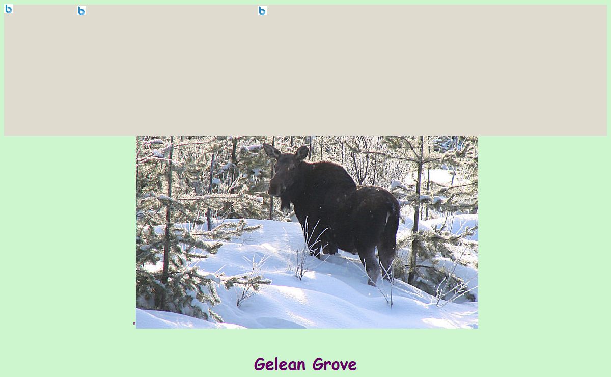 The Gelean's HomePage