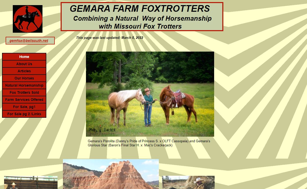 Gemara Farm Foxtrotters--Natural Horsemanship Lessons and Training