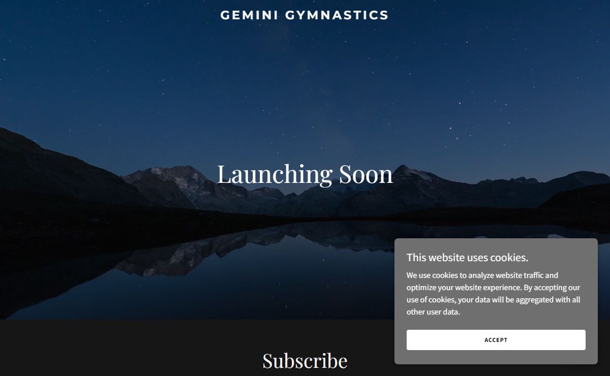 geminigymnastics.org