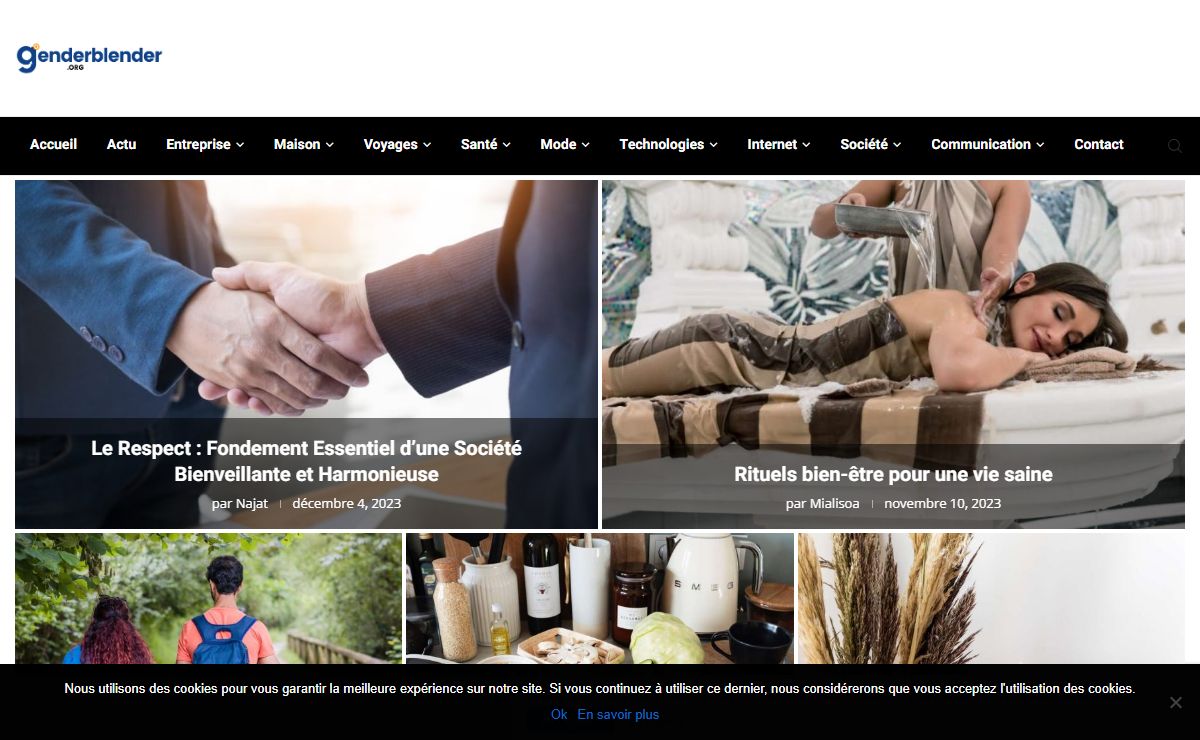 genderblender.org - Blog de l'actualité web