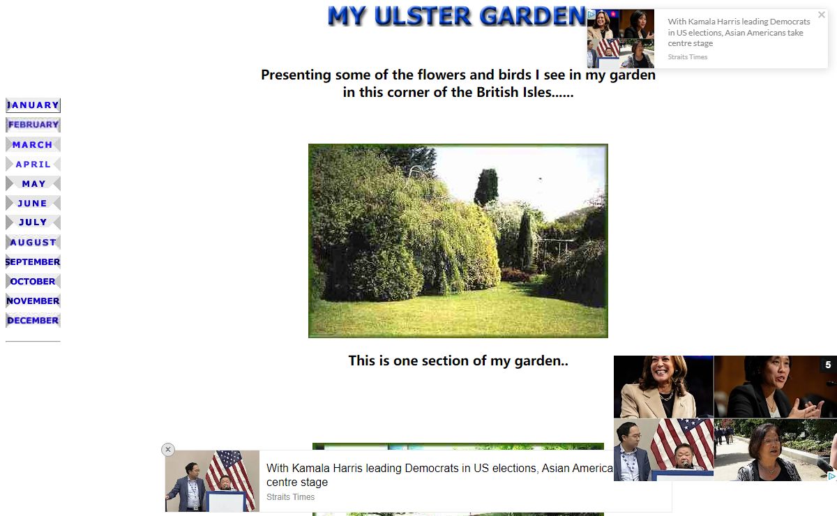 Home Page