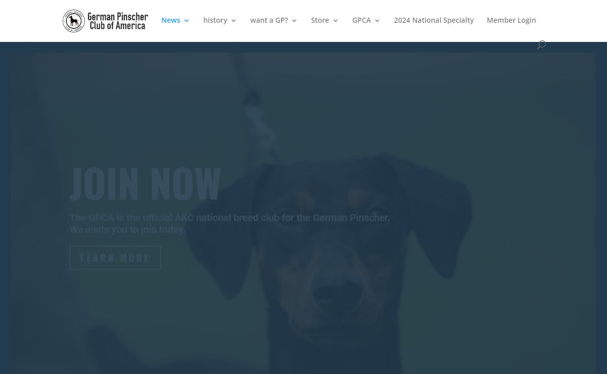 The German Pinscher Club of America | A Member of the American Kennel Club
