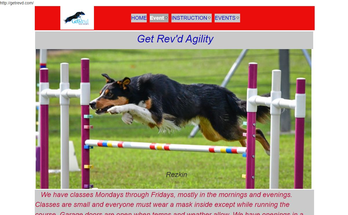 Dog Agility Training Get Rev'd Agility